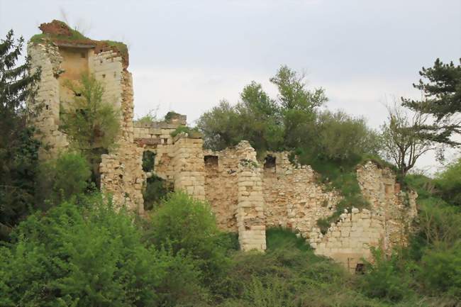 Le château, au XXIe siècle - Mailly-Raineval (80110) - Somme