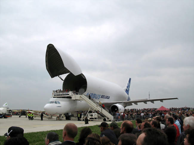 Contrôleur / Contrôleuse d'aéronautique de l'armée