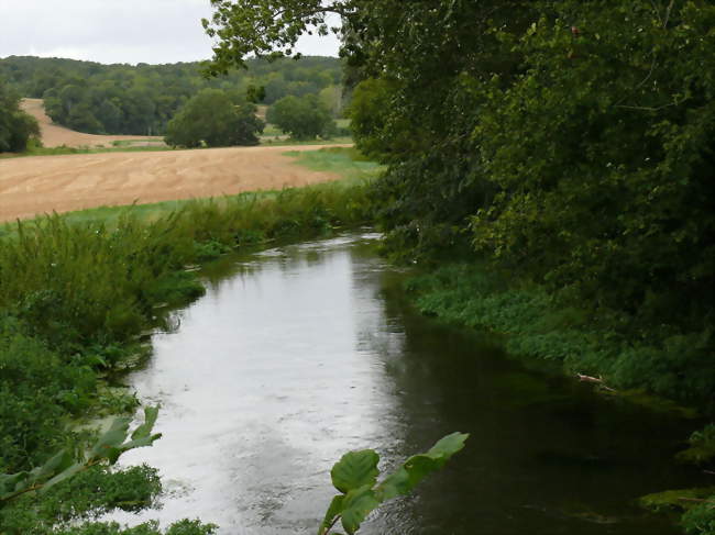 L'Avre à l'entrée du village - La Neuville-Sire-Bernard (80110) - Somme