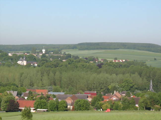 Peupleraie de l'Hallue entre Pont-Noyelles et Querrieu - Pont-Noyelles (80115) - Somme