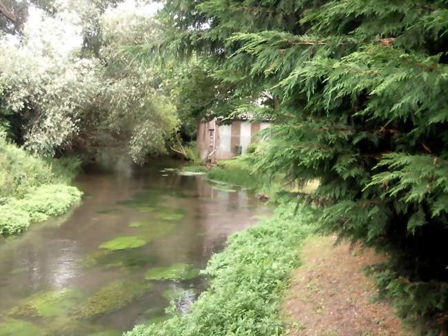 Le Liger - Saint-Aubin-Rivière (80430) - Somme