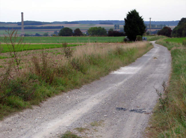 Vue de la vallée depuis l'ancienne voie romaine, la Chaussée Brunehaut descendant vers Saint-Ouen - Saint-Ouen (80610) - Somme