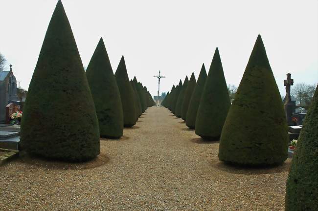 Le cimetière - Vignacourt (80650) - Somme