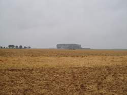 Ouvrier agricole polyvalent / Ouvrière agricole polyvalente