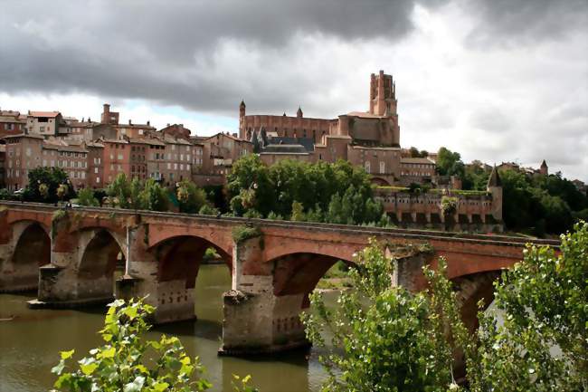 Panorama d\'Albi