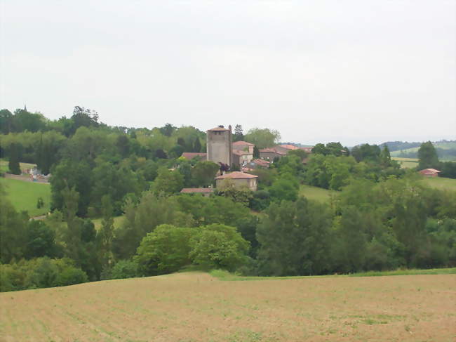 Vue générale du village - Belcastel (81500) - Tarn