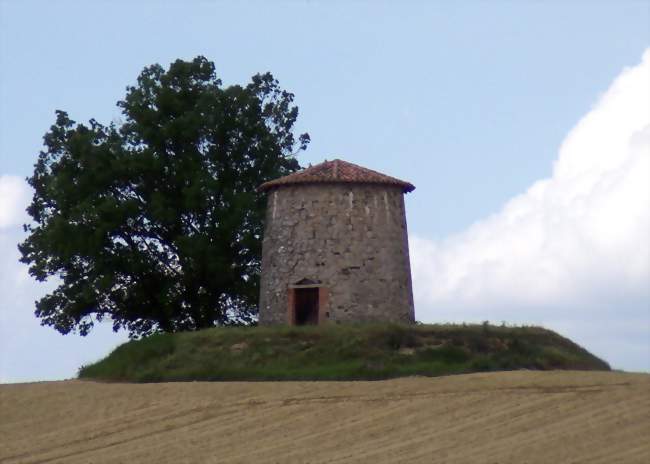 Prés du moulin de Lamothe, Blan (81700) - Crédit: Jean Thiers (CC by SA)