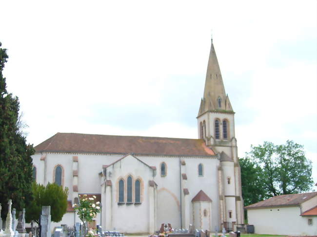 Aide ménager / Aide ménagère à domicile