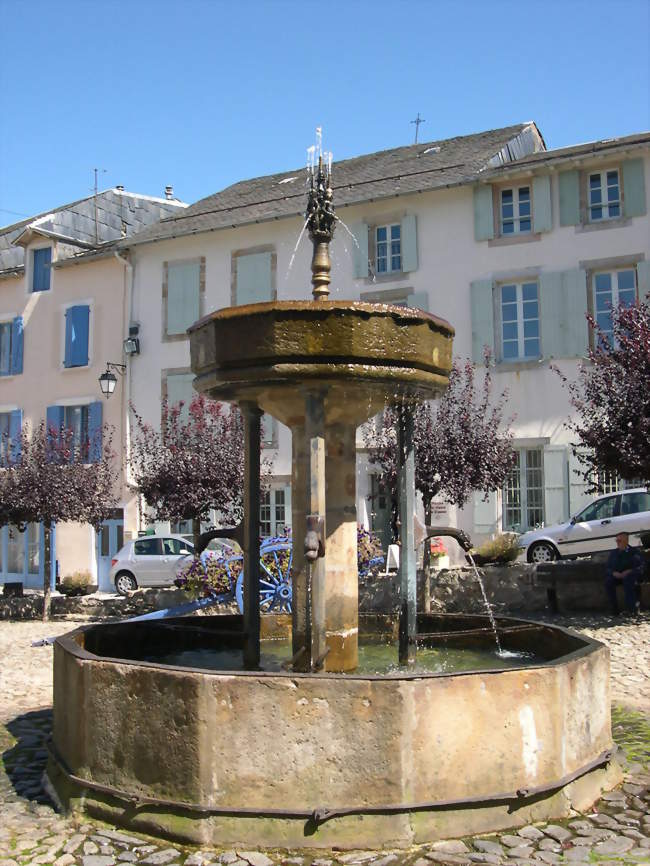 Fontaine des Pisseurs - Lacaune (81230) - Tarn