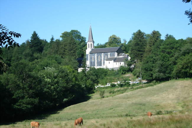 Vue générale - Lamontélarié (81260) - Tarn