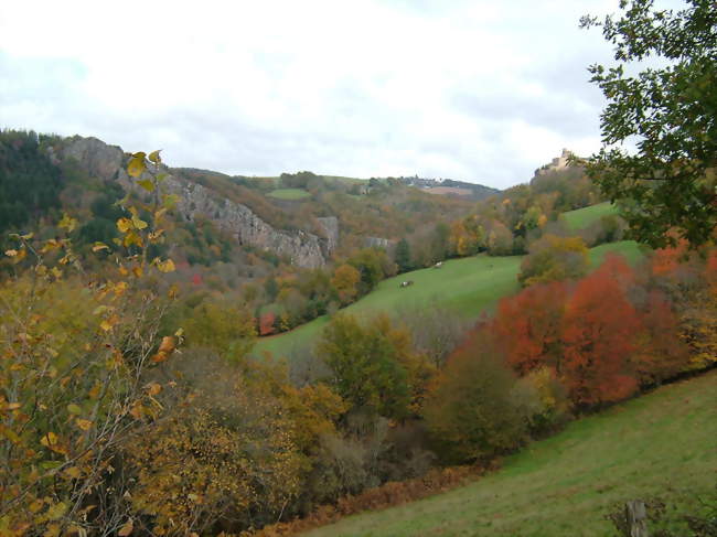 Gorge de l'Oulas et château de Paulin - Paulinet (81250) - Tarn