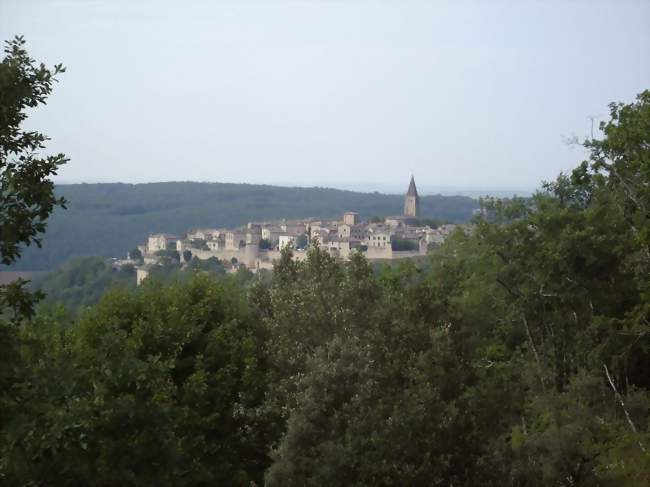 Puycelsi vue de la montée vers la Grésigne - Puycelsi (81140) - Tarn