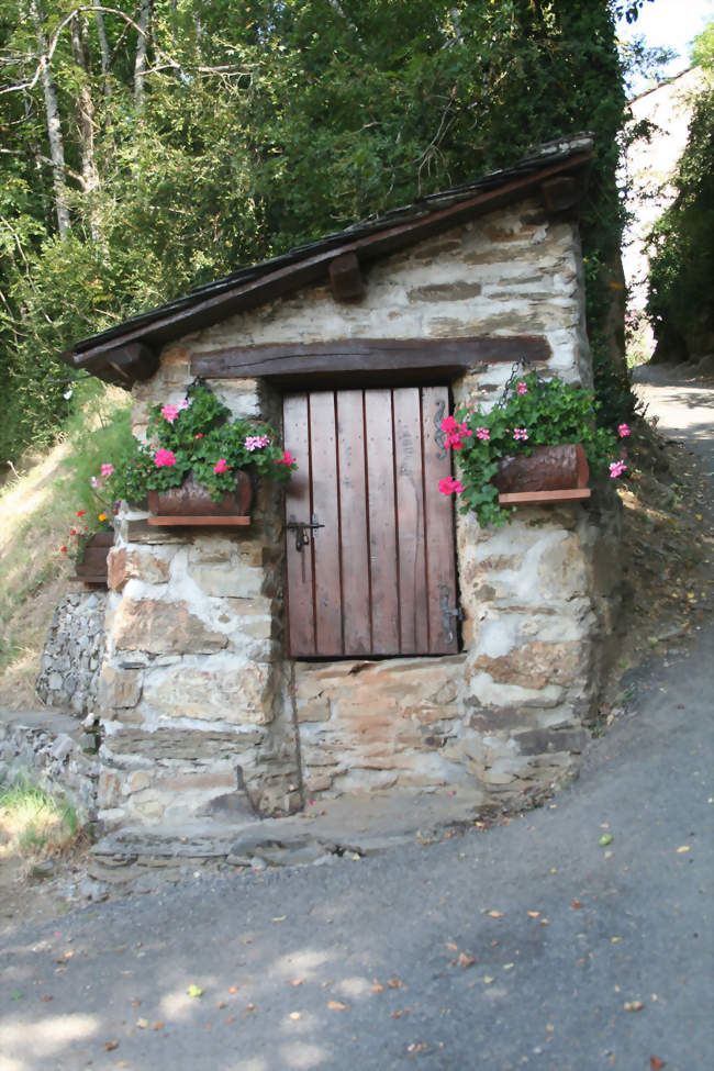 Puits de Senaux - Senaux (81530) - Tarn