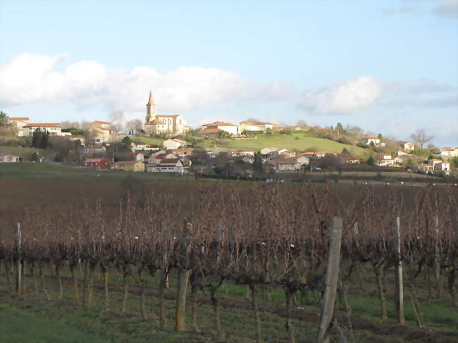 Vue générale avec en premier le vignoble de Gaillac - Senouillac (81600) - Tarn