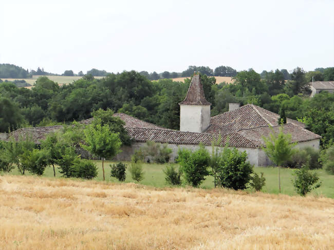 Ferme de Ratelle à Belvèze - Belvèze (82150) - Tarn-et-Garonne