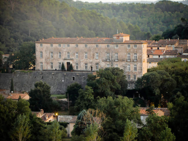 Le vieux village et le château - Entrecasteaux (83570) - Var