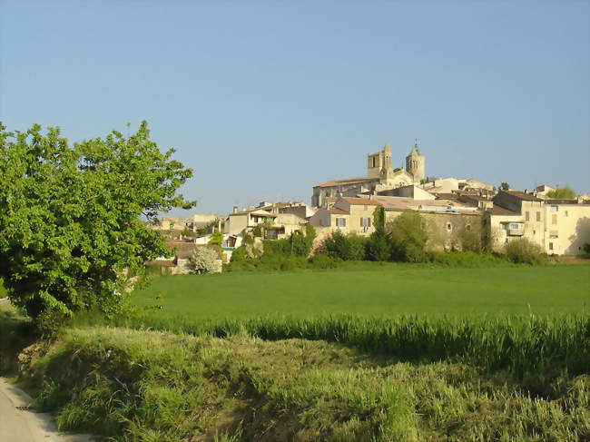 Marché du vendredi (3 exposants)