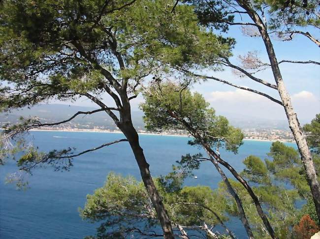 La baie des Lecques vue de la pointe Grenier, au-dessus de la Madrague - Saint-Cyr-sur-Mer (83270) - Var