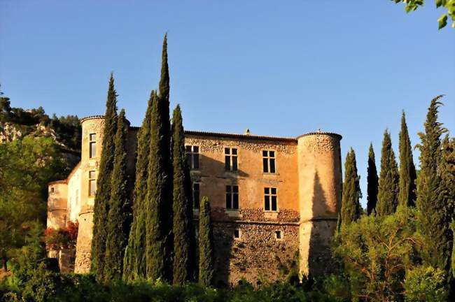 Le château - Vins-sur-Caramy (83170) - Var