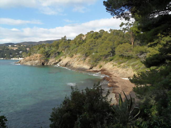 Le domaine du Rayol - Rayol-Canadel-sur-Mer (83820) - Var