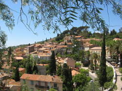 photo Bormes-les-Mimosas