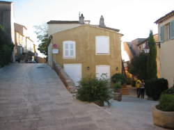 photo Vendeur / Vendeuse pépiniériste
