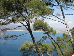 Marché Les Pieds dans l'eau