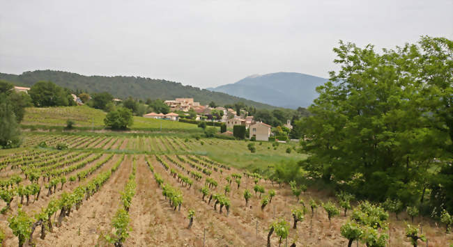 Vue sur Saint-Marcellin-lès-Vaison - Saint-Marcellin-lès-Vaison (84110) - Vaucluse