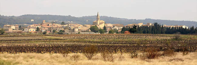 Vue sur les vignes et le bourg - Saint-Pierre-de-Vassols (84330) - Vaucluse