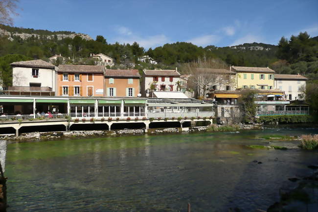 Sur les rives de la Sorgue - Fontaine-de-Vaucluse (84800) - Vaucluse