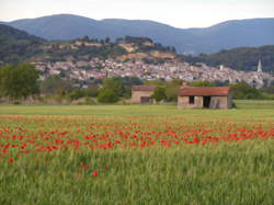 Marché Paysan de Cadenet