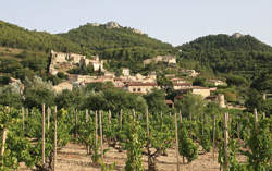 photo Accords Vins et Chocolats à Gigondas LaCave