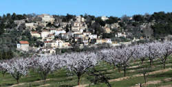 photo La Roque-sur-Pernes