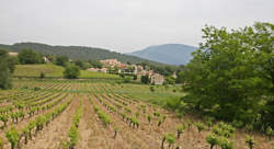 photo Boulanger-traiteur / Boulangère-traiteuse