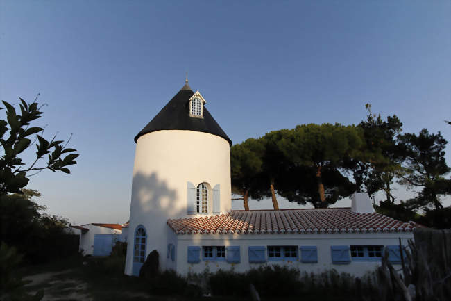 Le moulin vieux de la Frandière - Barbâtre (85630) - Vendée