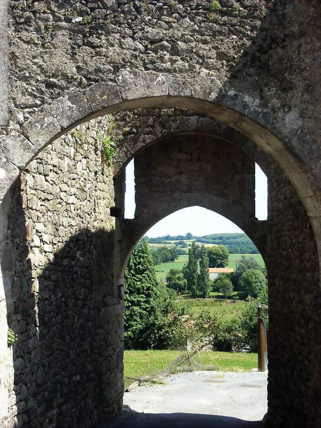 Le donjon de Châteaumur - Les Châtelliers-Châteaumur (85700) - Vendée