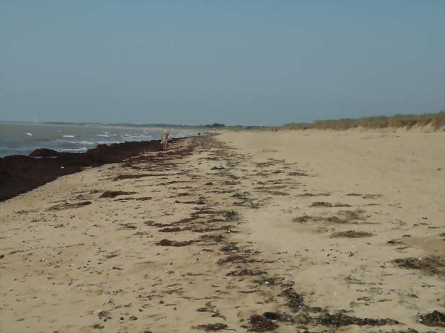 La plage de la Braie - Notre-Dame-de-Monts (85690) - Vendée