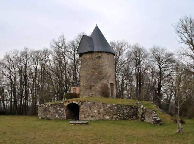 Moulin de la Boislinière à Rochetrejoux