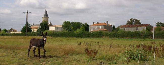 Saint-Pierre-le-Vieux - Saint-Pierre-le-Vieux (85420) - Vendée