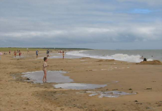 La plage des Bélugas vue en direction du sud-est vers la pointe d'Arcay et La Rochelle - La Faute-sur-Mer (85460) - Vendée