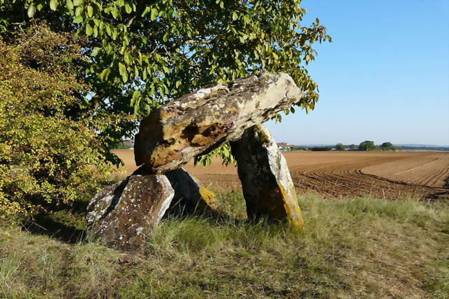 Dolmen de Fontenaille - Champigny-le-Sec (86170) - Vienne