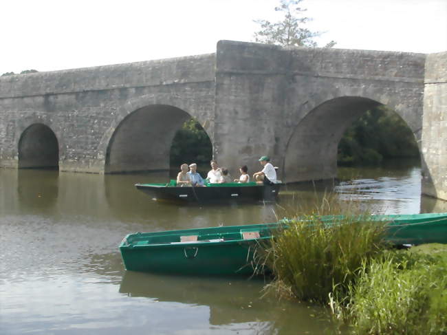 FFRandonnée Vienne en Civraisien.