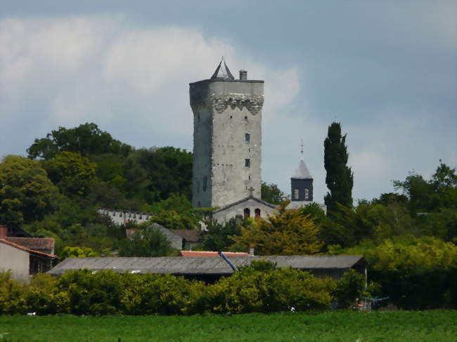 Le donjon et le clocher de l'église Sainte-Catherine - Curçay-sur-Dive (86120) - Vienne