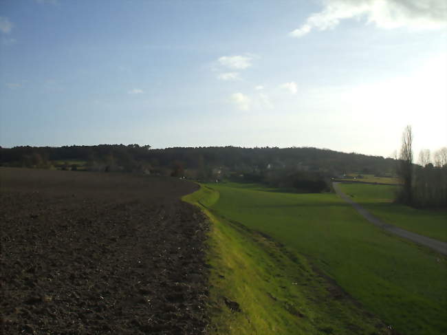 Village et campagne environnante à Prinçay - Prinçay (86420) - Vienne