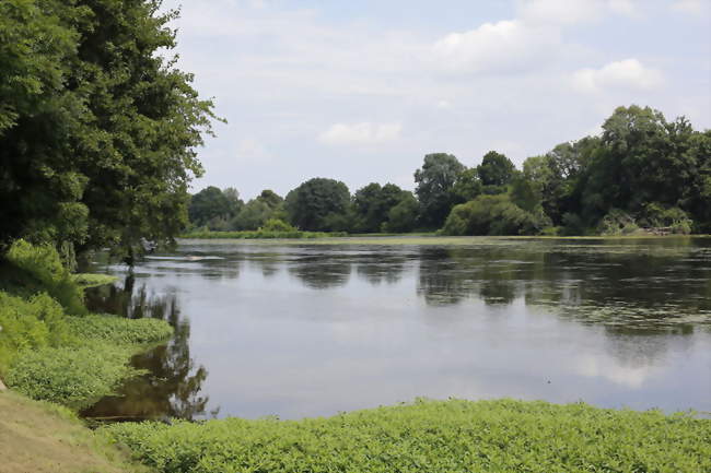 Les bords de Vienne - Queaux (86150) - Vienne