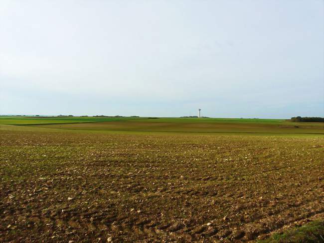 La plaine entre Mazeuil et Saint-Jean-de-Sauves - Saint-Jean-de-Sauves (86330) - Vienne