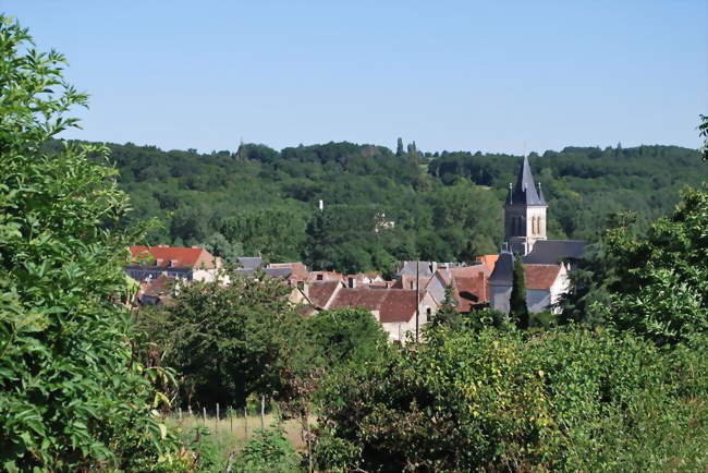 Vue générale de la commune - Saint-Pierre-de-Maillé (86260) - Vienne