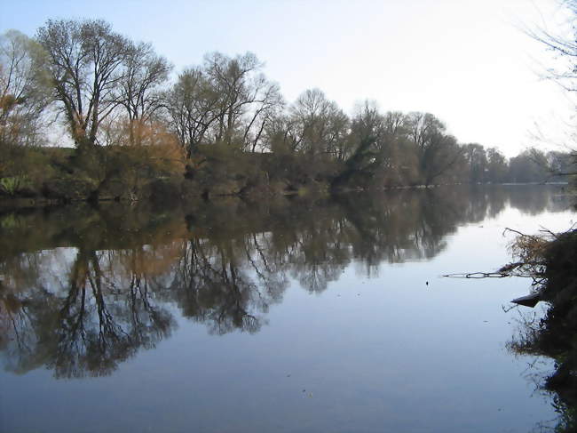 La Creuse à Saint-Rémy-sur-Creuse en mars 2011 - Saint-Rémy-sur-Creuse (86220) - Vienne