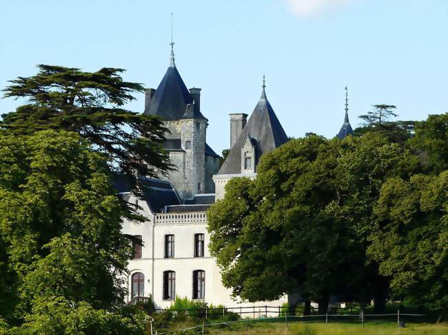 Le château de Ternay - Ternay (86120) - Vienne