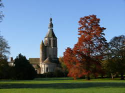 photo Responsable de secteur coordinateur (trice)